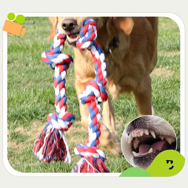 Heavy-Duty Cotton Rope Dog Toy – Durable Interactive Tug-of-War Toy for Large & Medium Dogs – Natural Dental Health Play Toy - Gadget | Trendwave