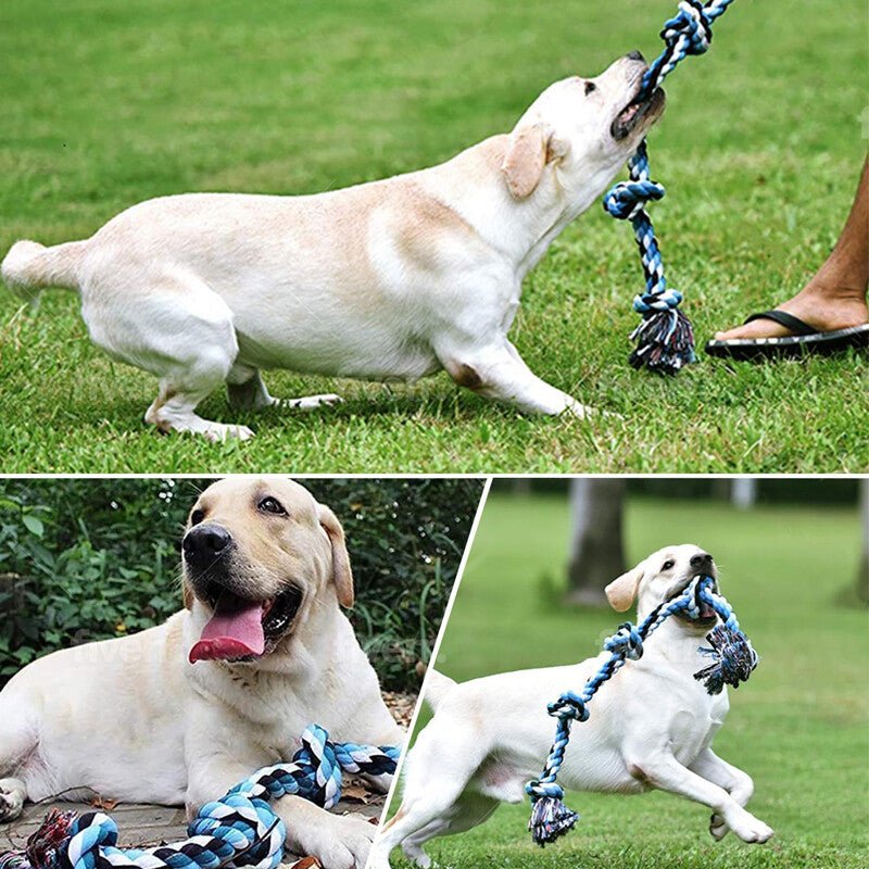 Heavy-Duty Cotton Rope Dog Toy – Durable Interactive Tug-of-War Toy for Large & Medium Dogs – Natural Dental Health Play Toy - Gadget | Trendwave