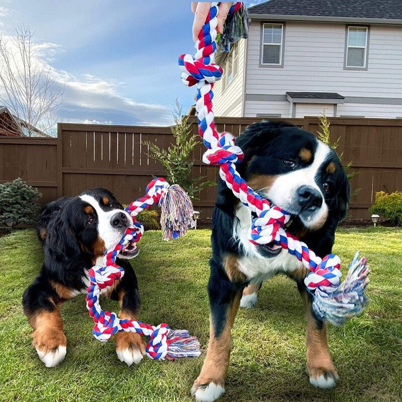 Heavy-Duty Cotton Rope Dog Toy – Durable Interactive Tug-of-War Toy for Large & Medium Dogs – Natural Dental Health Play Toy - Gadget | Trendwave