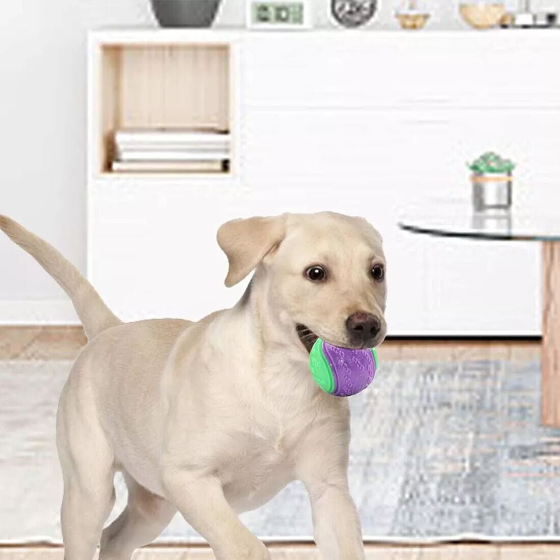 8-Piece Durable Dog Toy Ball Set – Interactive Squeaky Fetch Balls for Teeth Cleaning & Play – Non-Toxic for All Breeds - Gadget | Trendwave