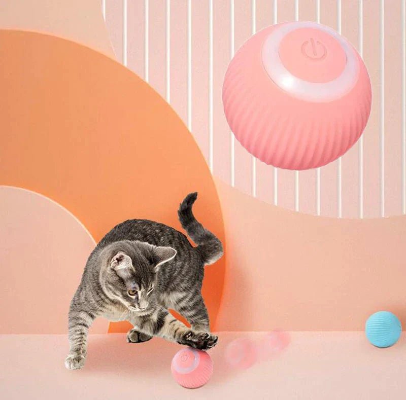 Interactive Cat Ball Toy – Automatic Self-Moving for Indoor Cats - | Trendwave