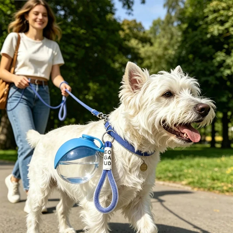 Portable blue pet water bottle with clear chamber and lanyard strap for walking dogs
