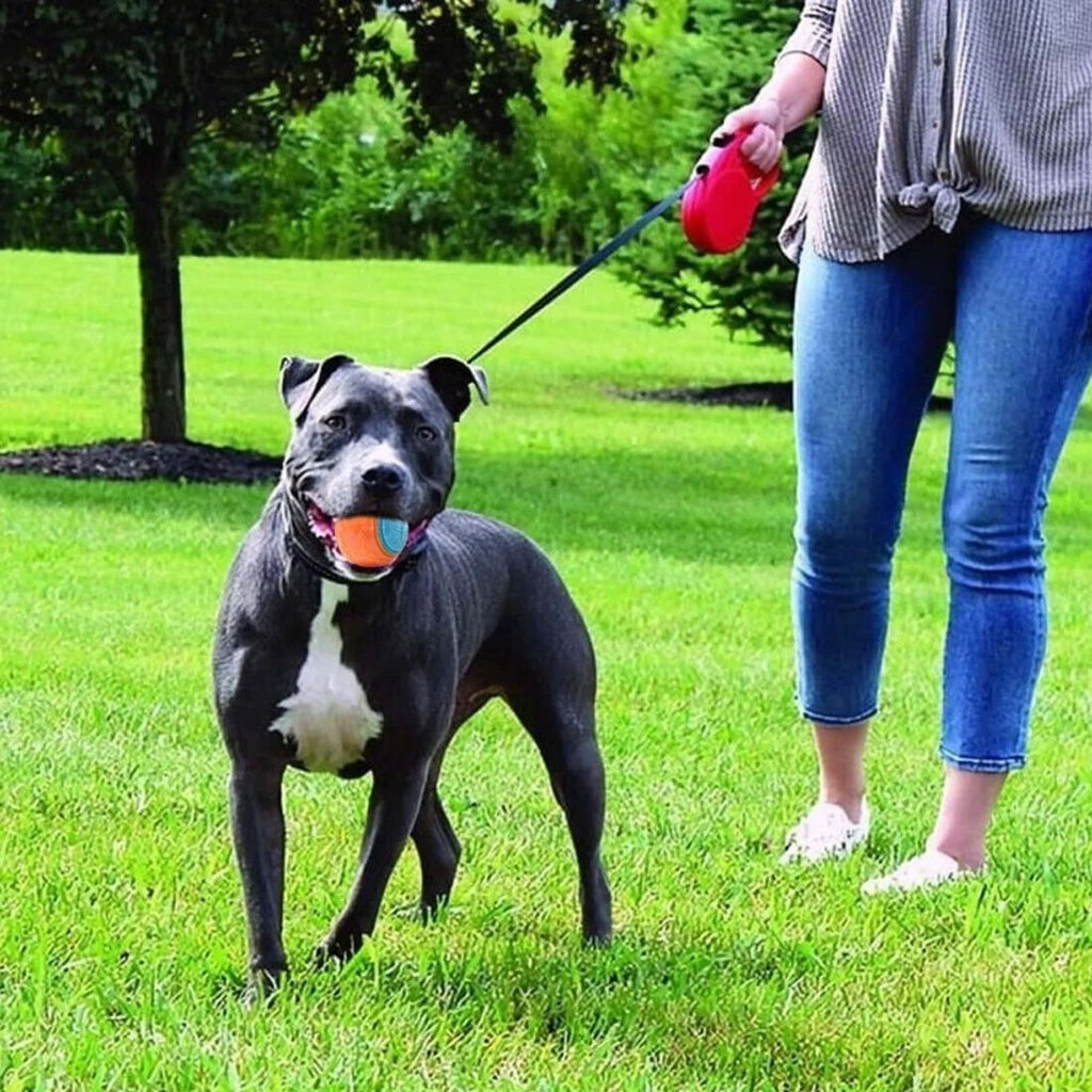 8-Piece Durable Dog Toy Ball Set – Interactive Squeaky Fetch Balls for Teeth Cleaning & Play – Non-Toxic for All Breeds - Gadget | Trendwave