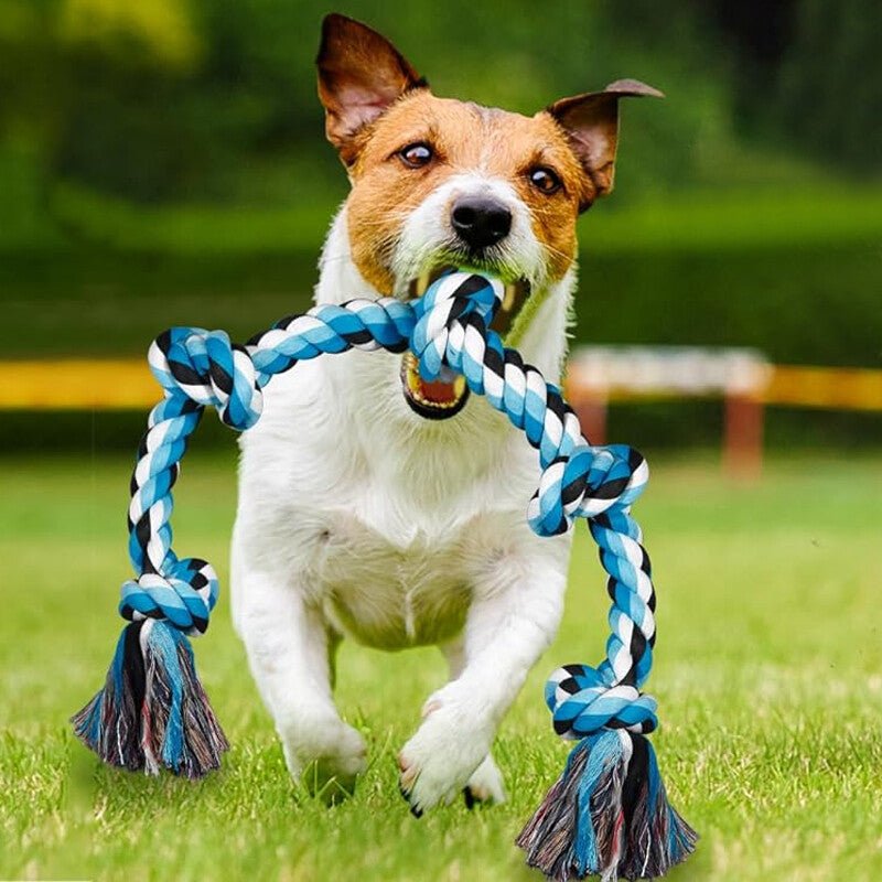 Heavy-Duty Cotton Rope Dog Toy – Durable Interactive Tug-of-War Toy for Large & Medium Dogs – Natural Dental Health Play Toy - Gadget | Trendwave